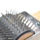 Igel Hunderte drucken, 2