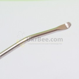 Spatula transfer of larvae, 