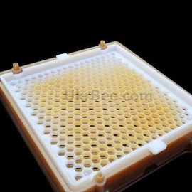 Cellular net of Jenter's honeycomb (003), drawing 