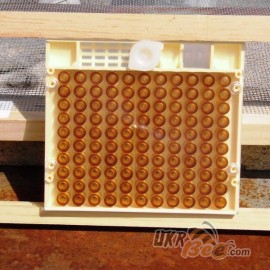 Haupt Kassette des Systems Nicot, bild 