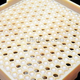 Cartridge case of Jenter's honeycomb, 