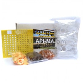 Api-Maxi "20" for the withdrawal of queens, 