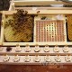 System NICOT: Zestaw "Start", rysunek 2