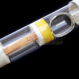 Glass tube "Flaubert", 