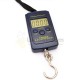 Canter (scales) for the apiary, 