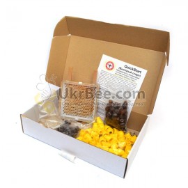Jenter's honeycomb (Product Set No. 021), Bild