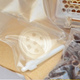 Jenter's honeycomb (Product Set No. 021), Bild