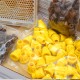 Jenter's honeycomb (Product Set No. 021), Bild 4
