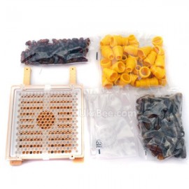 Jenter's honeycombs (Product No. 001), 