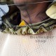 Jacke Imker Optima LUX (Baumwolle + mesh), 7