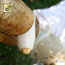 Das Hütchen zum Schutz des Bienenköniginnen. Nicot, bild 