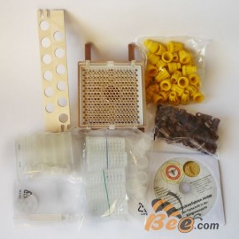 Jenter's honeycomb (Product Set No. 011), drawing