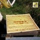 Krata odgrodowa Nicot (dla 10 ramowego systemu ), rysunek 9