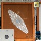 Bienenentferner „Rombus“. Nicot, bild 5