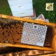 Das Kästchen Nicot für das Einsetzen der Bienenkönigin, bild 3