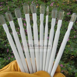Spatula collection of royal jelly, drawing 