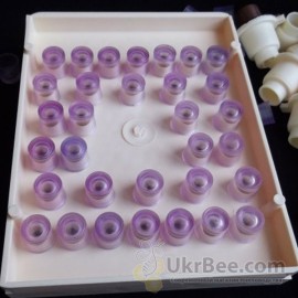 Bowls ApiMini (copy of Nikot) 10pcs, 