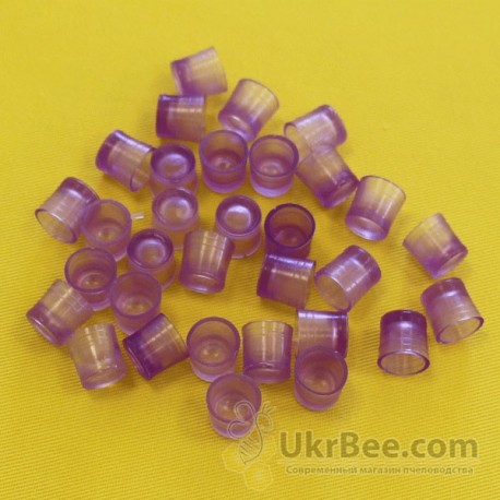 Schüsseln ApiMini (copy Nikot) 10pc. 