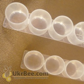 Bowls in the ribbon for royal jelly, 