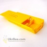Cell transfer for the queens, 