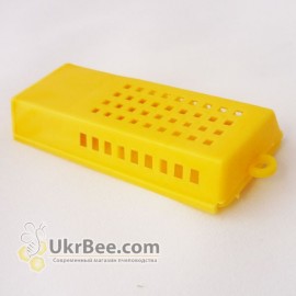 Cell transfer for the queens, 