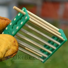Cell for the uterus (bamboo), 