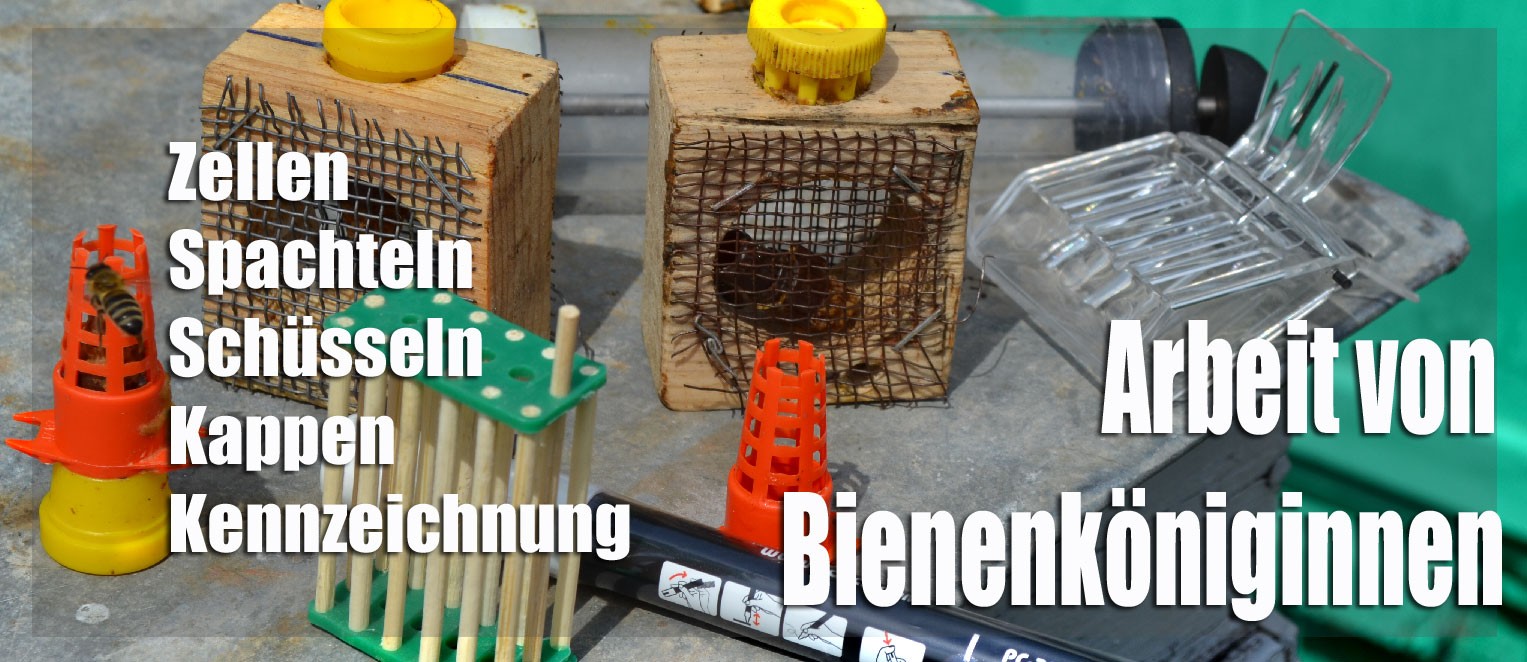 Alle Ausgangs Frauen